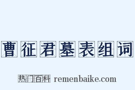 曹征君墓表组词是什么意思的图片